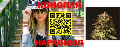 PSILOCYBIN Будённовск