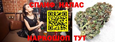 PSILOCYBIN Будённовск