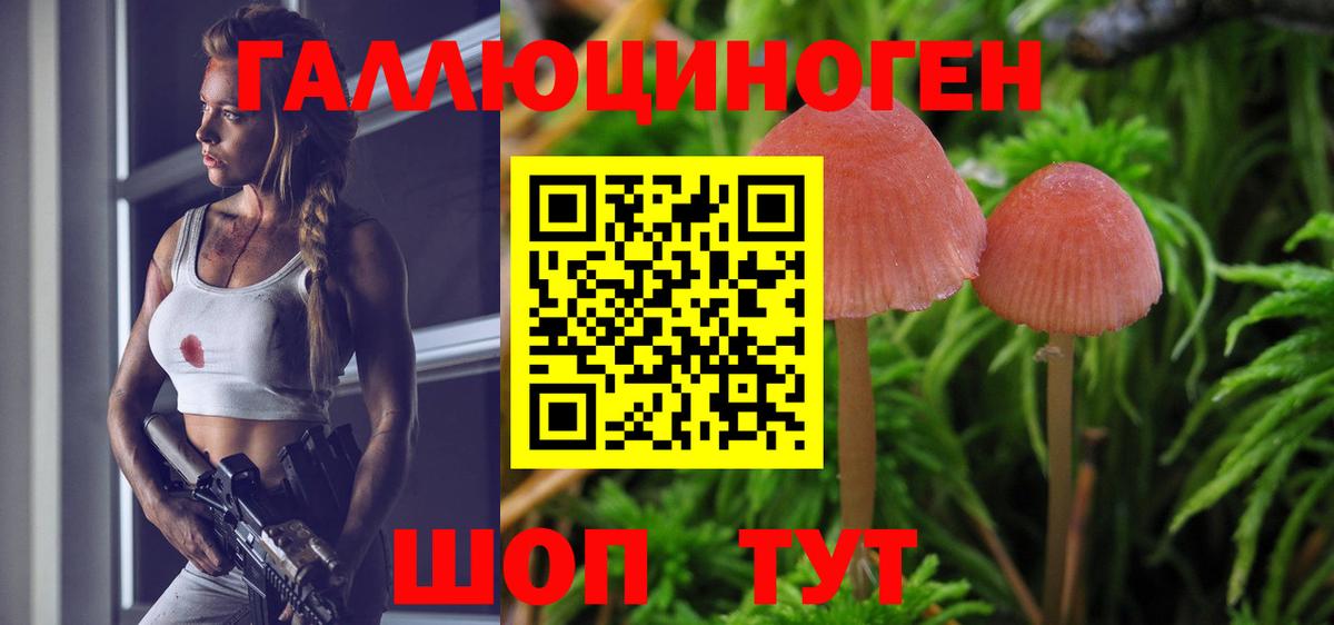 Нефтекумск  Галлюциногенные грибы мицелий  Вход с VPN 